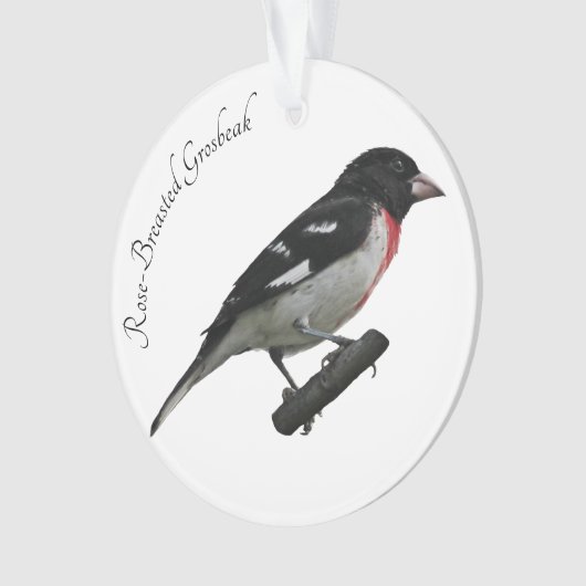 Grosbeak mit Rose Ornament (Vorderseite)