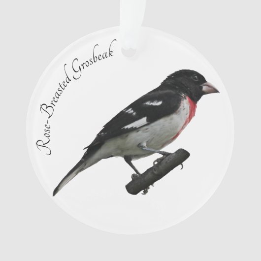 Grosbeak mit Rose Ornament (Vorderseite)
