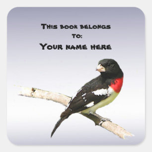 Grosbeak mit Rose Quadratischer Aufkleber
