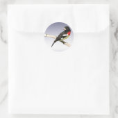 Grosbeak mit Rose Runder Aufkleber (Tasche)