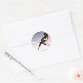 Grosbeak mit Rose Runder Aufkleber (Umschlag)