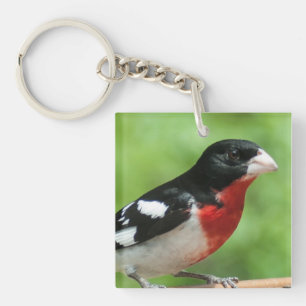 Grosbeak mit Rose Schlüsselanhänger
