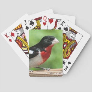 Grosbeak mit Rose Spielkarten