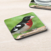 Grosbeak mit Rose Untersetzer (Linke Seite)