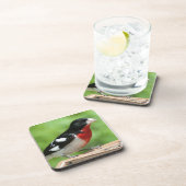 Grosbeak mit Rose Untersetzer (Rechte Seite)