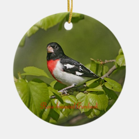 Grosbeak-Rose Keramikornament (Vorne)