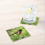 Grosbeak Rose Untersetzer (Vor Ort)