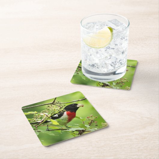 Grosbeak Rose Untersetzer (Vor Ort)