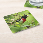 Grosbeak Rose Untersetzer (angewinkelt)