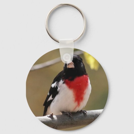 Grosbeak Schlüsselanhänger (Vorderseite)