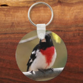 Grosbeak Schlüsselanhänger (Vorderseite)