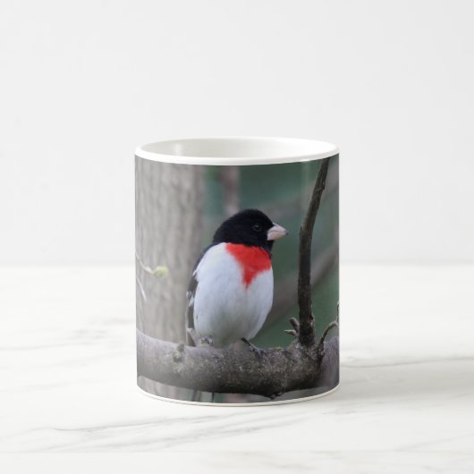 Grosbeak-Tasse Kaffeetasse (Mittel)