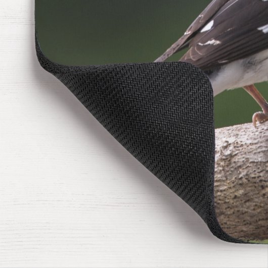 Grosbeak von männlicher Rose Mousepad (Ecke)