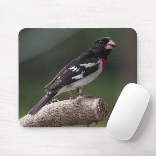 Grosbeak von männlicher Rose Mousepad (Mit Mouse)