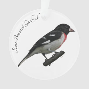 Grosbeak von Rose Ornament