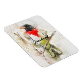 Grosbeak von Rose (Pheucticus ludovicianus) Magnet (Rechte Seite)