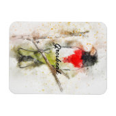 Grosbeak von Rose (Pheucticus ludovicianus) Magnet (Horizontal)