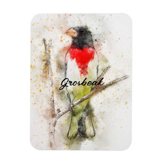 Grosbeak von Rose (Pheucticus ludovicianus) Magnet (Vertikal)