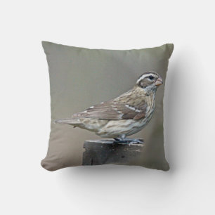 Grosbeak von Rose Songbird Kissen