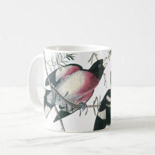 Grosbeak von Rose von Audubon Kaffeetasse