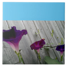 Groß, dekorativ fliese