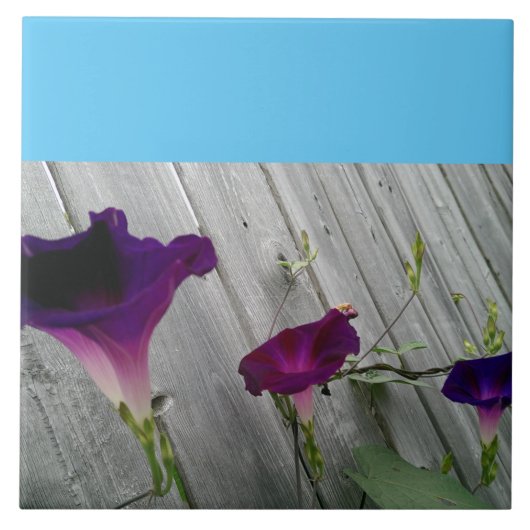 Groß, dekorativ fliese (Vorderseite)