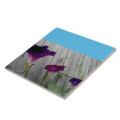 Groß, dekorativ fliese (Seite)