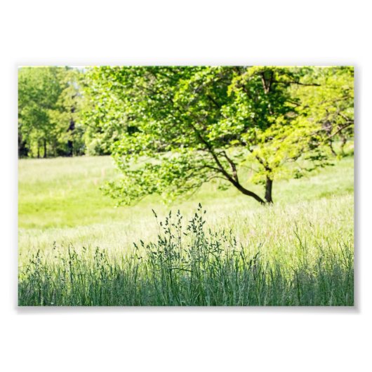 Groß Fotodruck (Vorne)