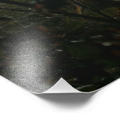 Groß im Kleinen sehen Fotodruck (Ecke)