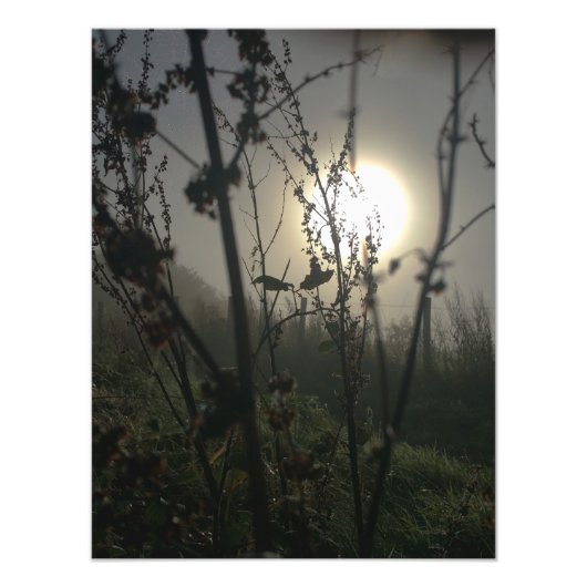 Groß im Kleinen sehen Fotodruck (Vorne)