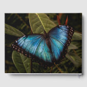 Groß, schön, blau, Schmetterling Gästebuch (Rückseite)