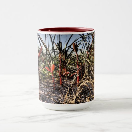 Groß Tasse (Zentrum)