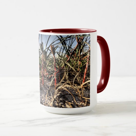 Groß Tasse (VorderseiteRechts)