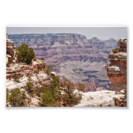 Großansicht der Ente Fotodruck