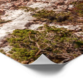 Großansicht der Ente Poster (Ecke)