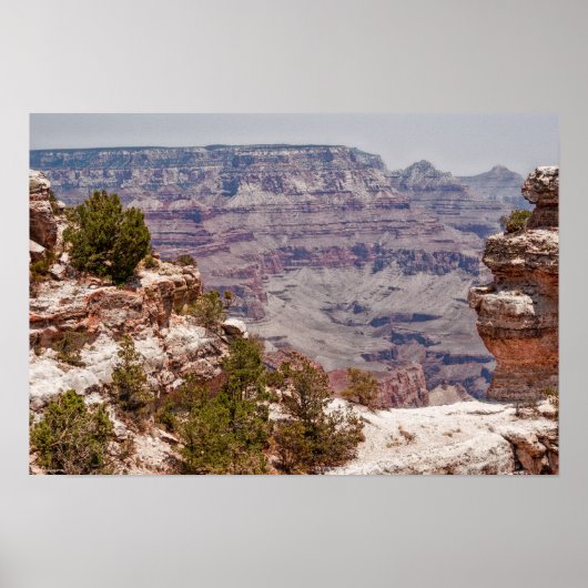 Großansicht der Ente Poster (Vorne)