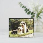 Großartig draußen! postkarte (Stehend Vorderseite)