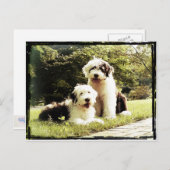 Großartig draußen! postkarte (Vorne/Hinten)