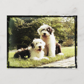 Großartig draußen! postkarte