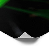 Großartig rosa Rosa Blume Poster (Ecke)