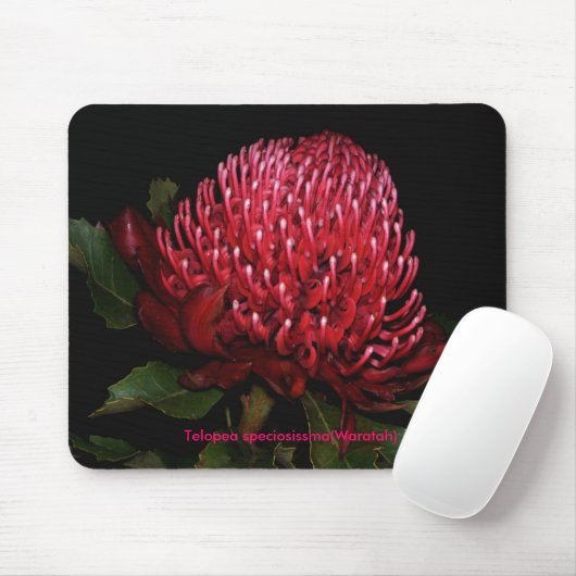 Großartige australische Dame Mousepad (Mit Mouse)
