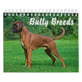 Großartige Bully-Rassen Kalender