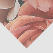 großartige Gartenmöbel, Rose, weicher Pfirsich Seidenpapier (Ausschnitt)