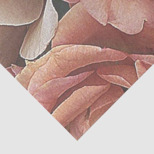 großartige Gartenmöbel, Rose, weicher Pfirsich Seidenpapier (Ausschnitt)