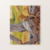 Großartige Löwen Südafrikas Puzzle (Vertikal)