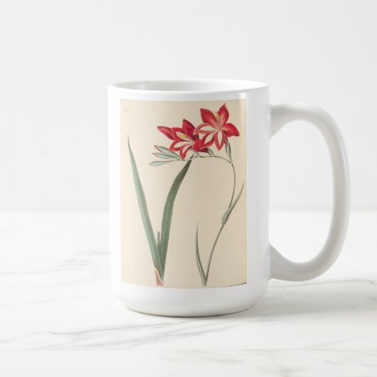 Großartige Mais-Flagge Kaffeetasse (Rechts)