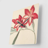 Großartige Mais-Flagge Quadratische Wanduhr (Winkel)