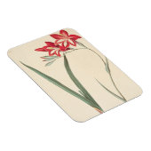 Großartige Maisflagge Magnet (Rechte Seite)