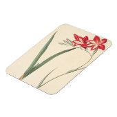 Großartige Maisflagge Magnet (Linke Seite)