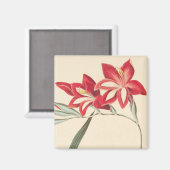 Großartige Maisflagge Magnet (Vorderseite/Rückseite)